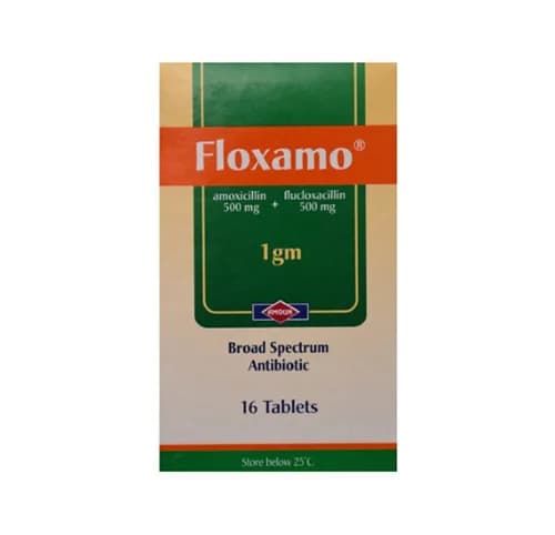 Floxamo 1Gm 16 Tablets