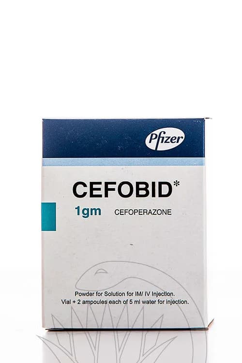 Cefobid 1Gm 1 Vial