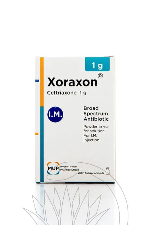 Xoraxon 1Gm 1 Vial Im