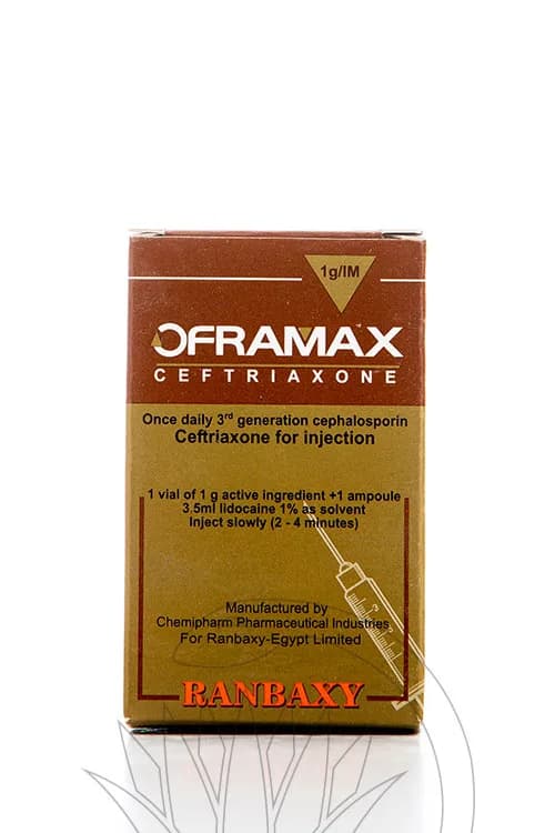 Oframax 1Gm 1 Vial Im