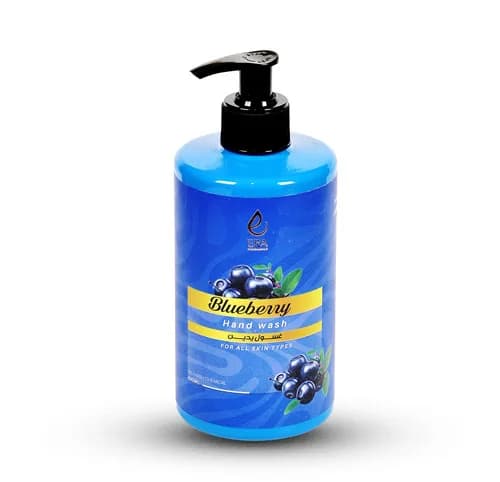 ERA HAND WASH BLUE BERRY 500ML