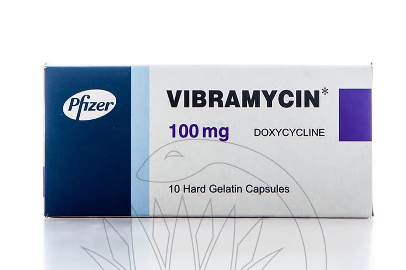 Vibramycin 100Mg 10 Capsules