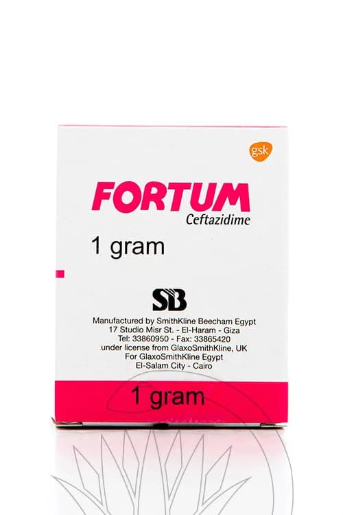 Fortum 1Gm 1 Vial