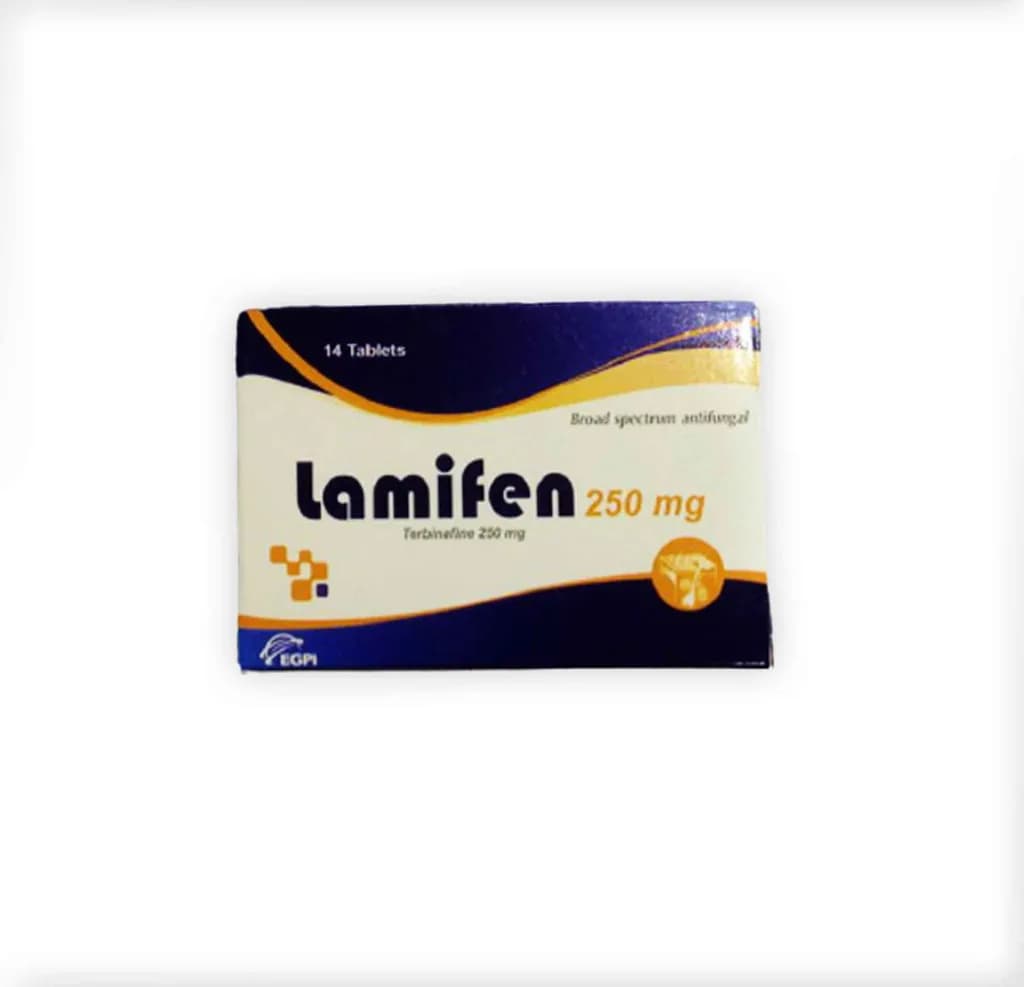Lamifen 250Mg 14 Tablets